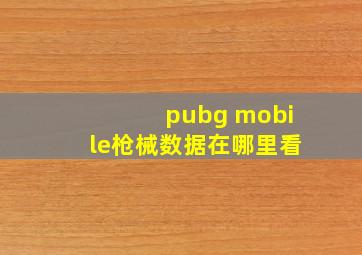 pubg mobile枪械数据在哪里看